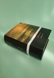 Don Quixote thumb 2 3